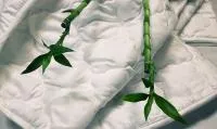 Одеяло всесезонное "Бархатный бамбук" с бамбуком в  чехле из микрофибры 172х205