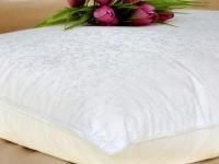 Шелковая подушка "Comfort Premium" S (50х70 арт. P1045S)