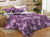 КПБ Cleo Поплин Pure Cotton дуэт 145*215*2 220*240*1(±5) 70*70*2(±2) 40/153-PC купить в интернет магазине LiveStor.ru