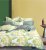 Asabella 1721-6 Евро печатный сатин купить в интернет магазине LiveStor.ru