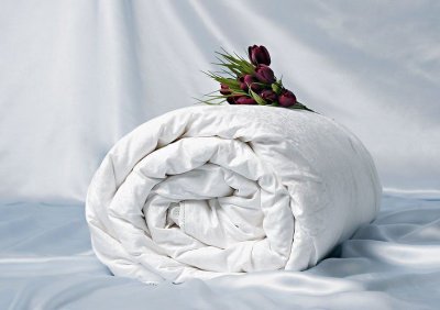 Шелковое одеяло "Comfort Premium", среднее (200х220 арт.Q0086A) купить в интернет магазине LiveStor.ru