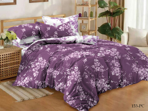 КПБ Cleo Поплин Pure Cotton дуэт 145*215*2 220*240*1(±5) 70*70*2(±2) 40/153-PC купить в интернет магазине LiveStor.ru
