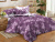 КПБ Cleo Поплин Pure Cotton дуэт 145*215*2 220*240*1(±5) 70*70*2(±2) 40/153-PC купить в интернет магазине LiveStor.ru